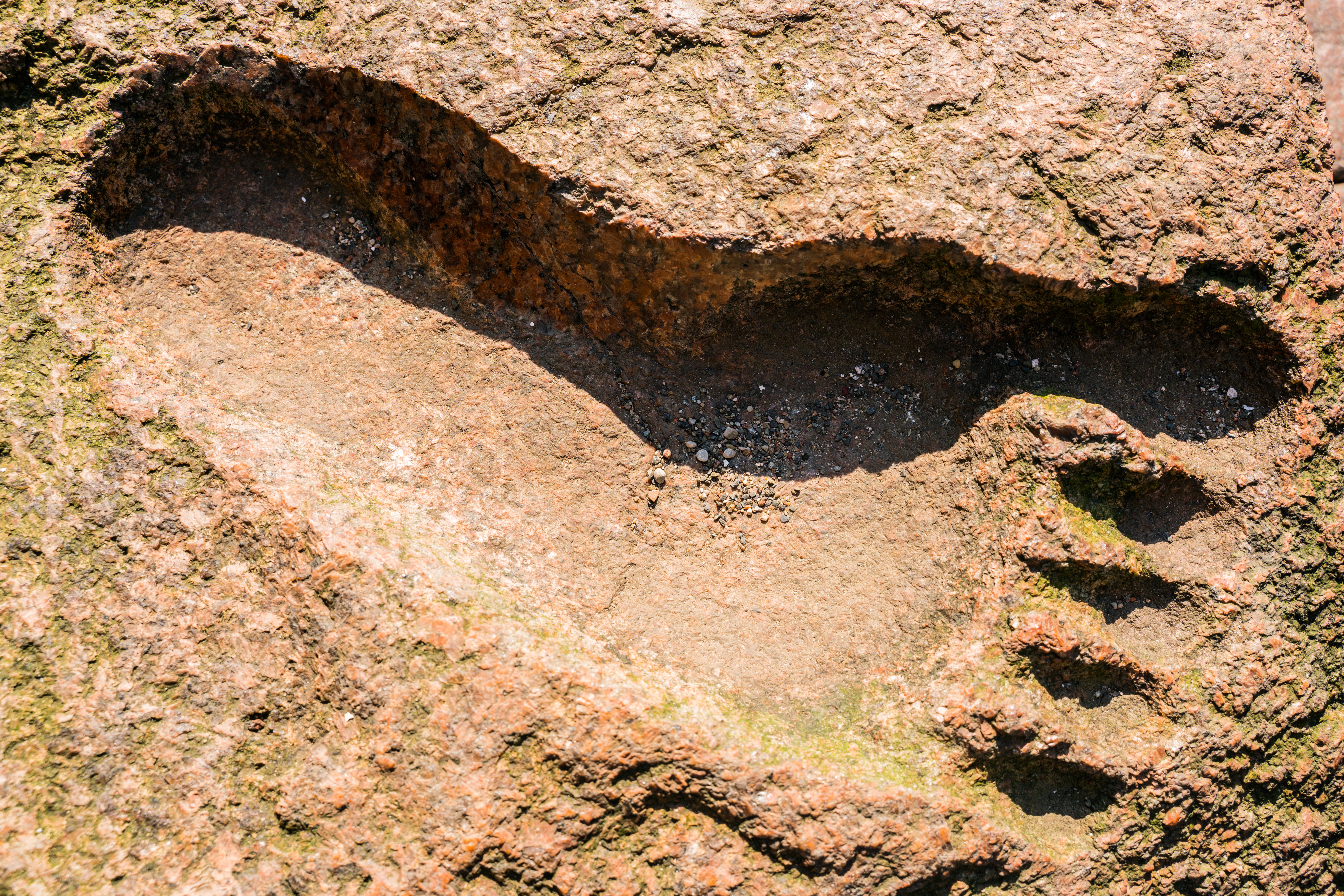 Bigfoot footprint