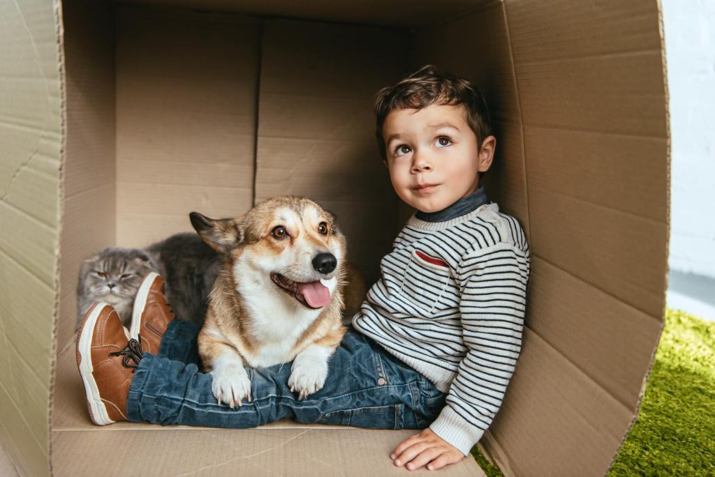 Canine Siblings Prove Puppies And Kids Are A Lot Alike